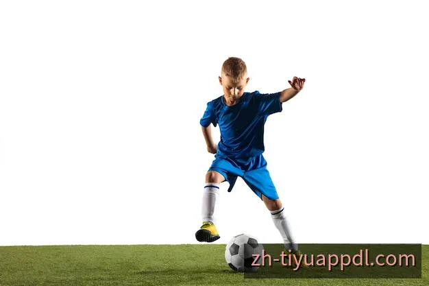 中文体育APP客户端界面与高清赛事直播总览